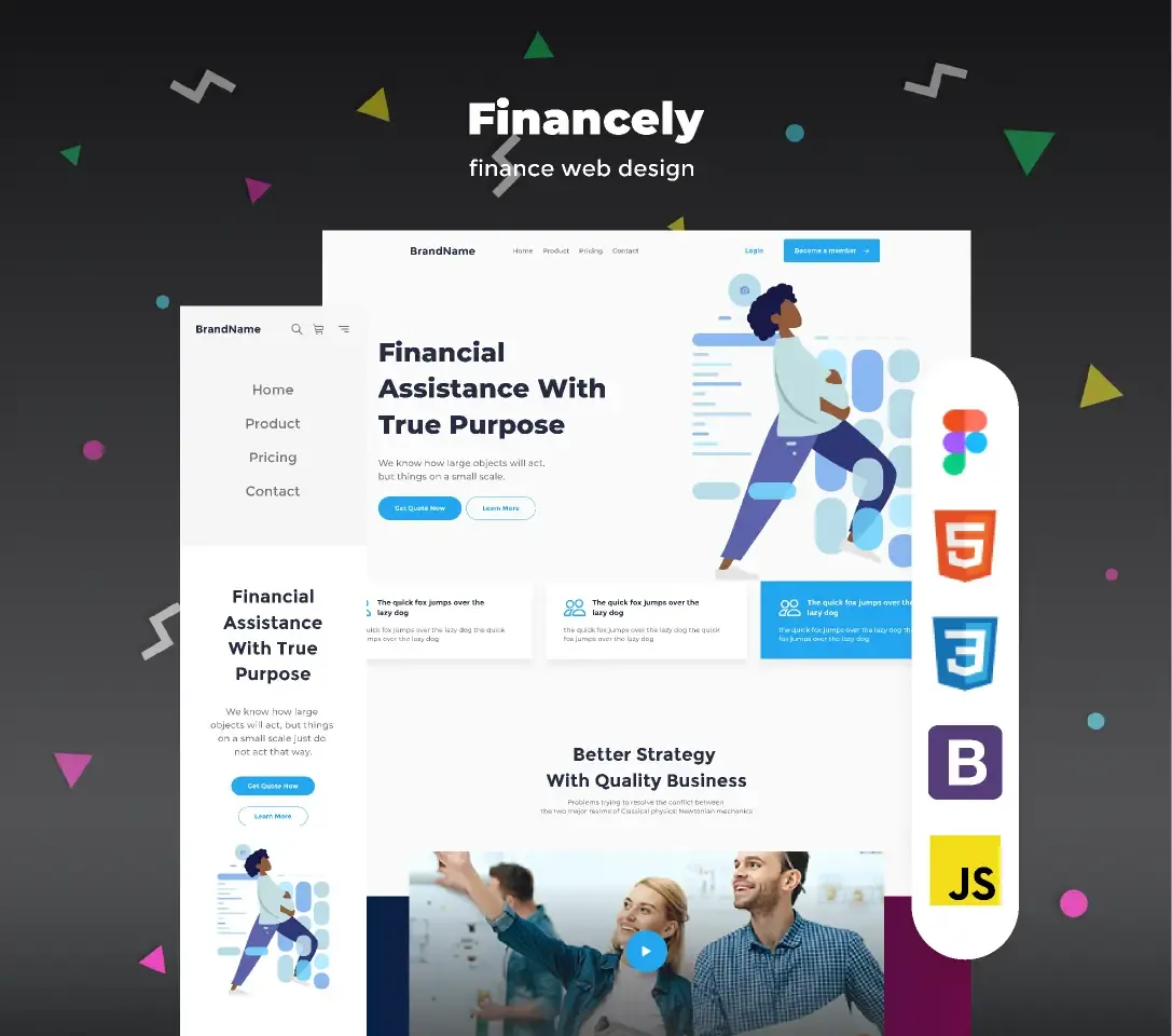 cover preview of ProAccountant Website